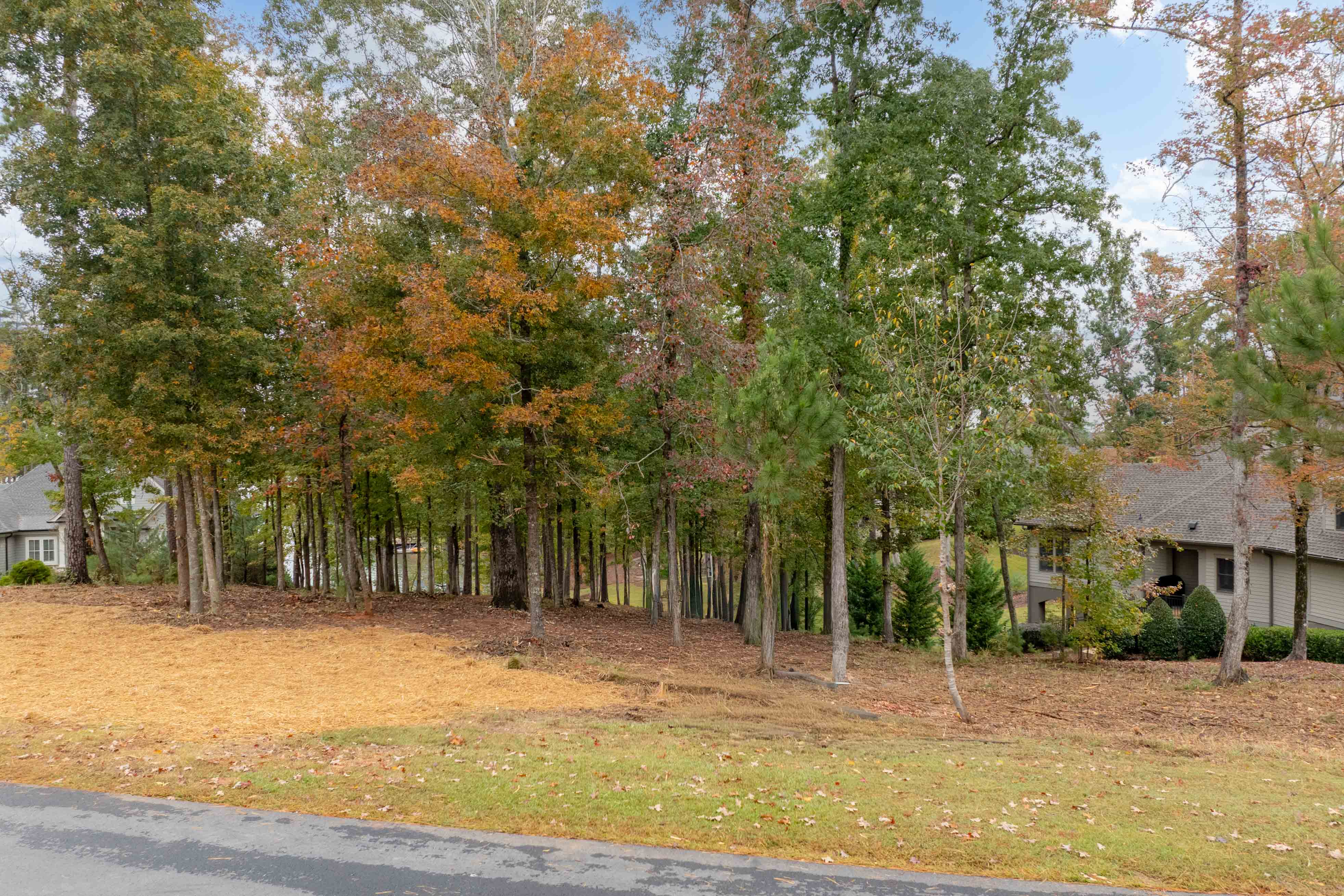 2731 Linger Longer Drive image 12